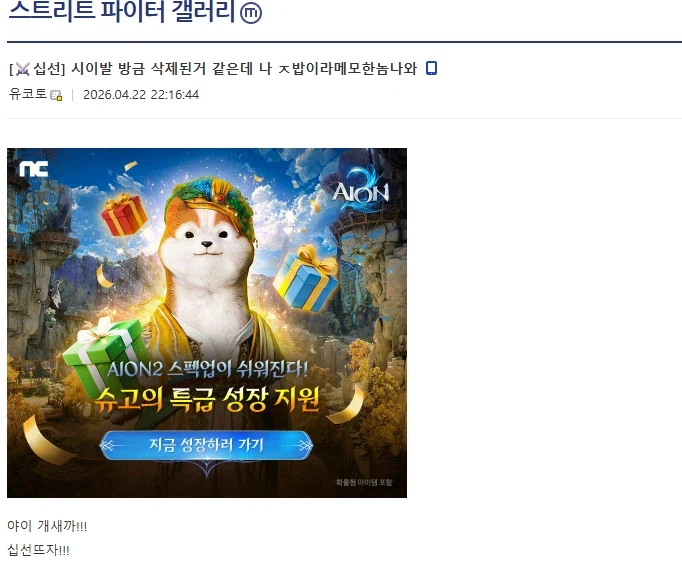 디시 격투게임 겔러리의 갈등 해결법_1.webp