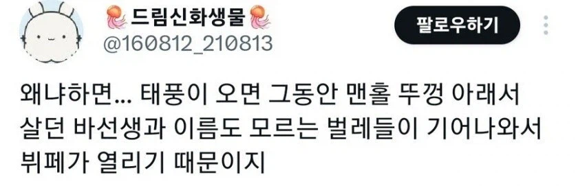 까마귀들이 맨홀뚜껑마다 모여있는 이유_2.webp