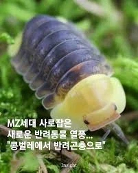 수정)곤충으로 착각 하는 생물_1.webp