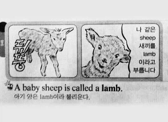 하나님의 양새끼_2.webp