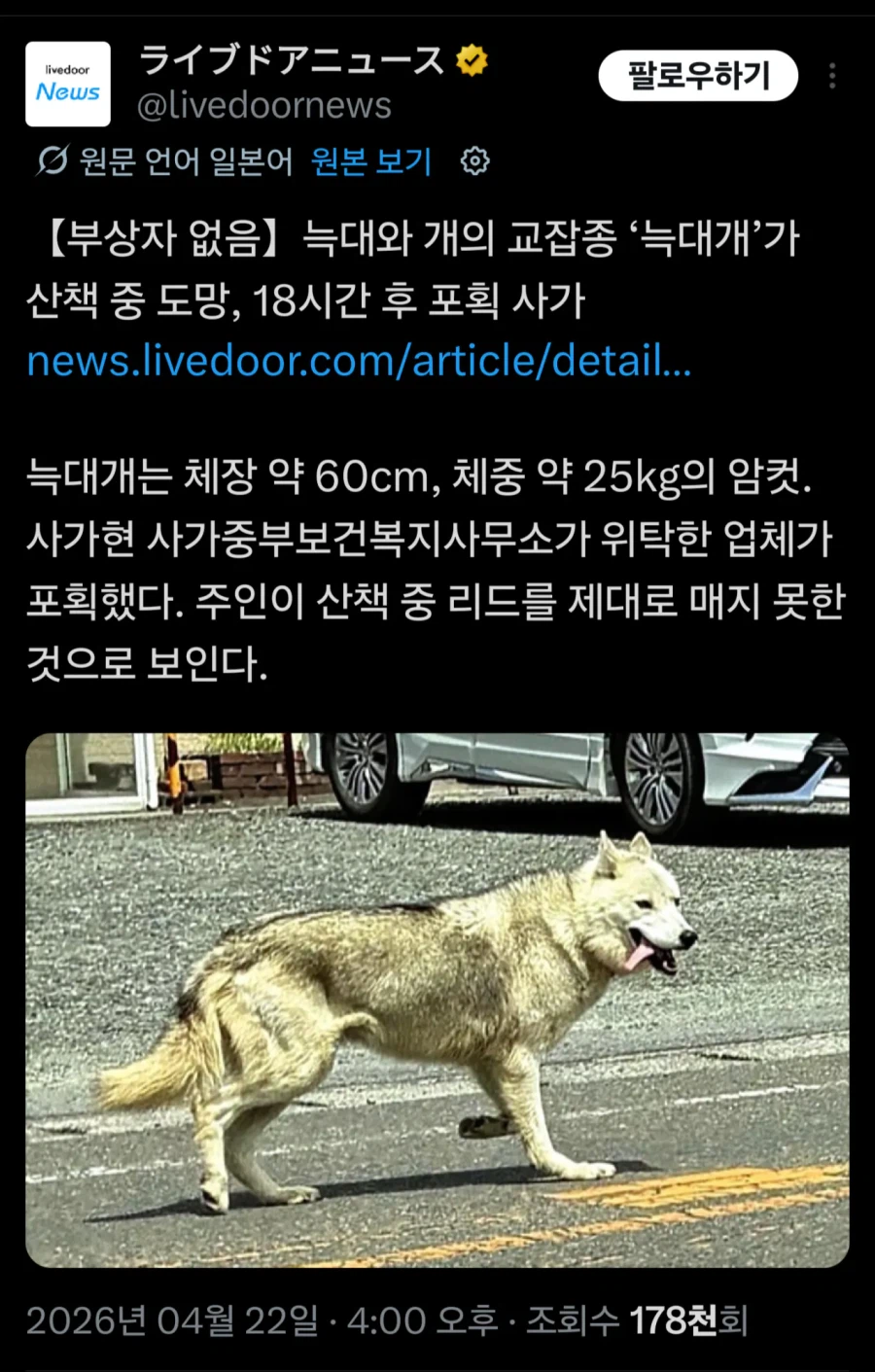 왜구 탈출사건 발생_1.webp