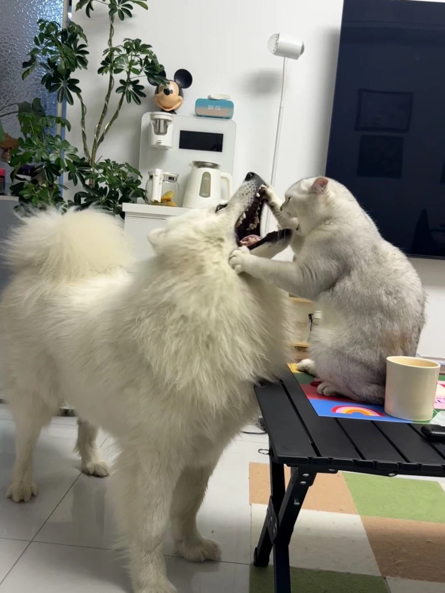 “입 열어보세요”_1.webp