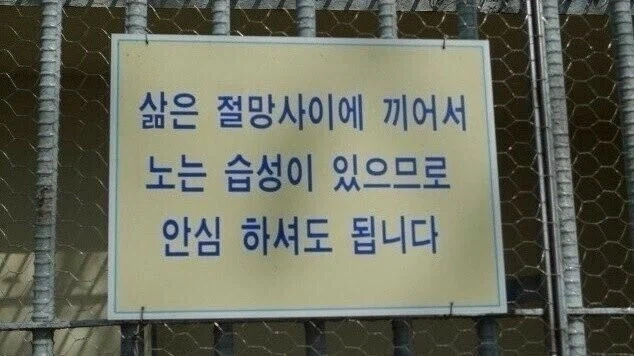 피할수 없는_1.webp