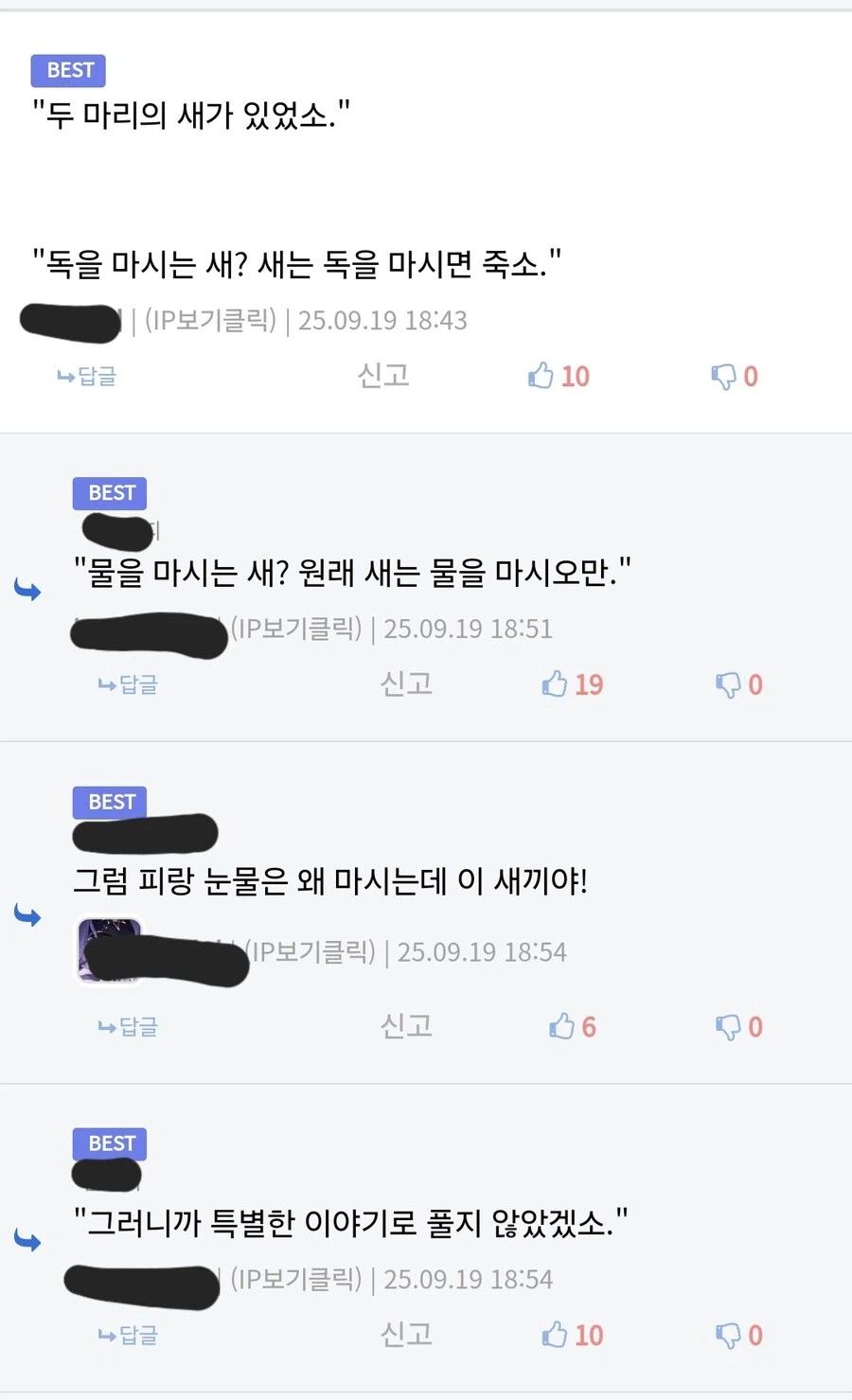 눈마새) 작가님!!! 네 마리 형제새라면서 왜 두마리 뿐입니까!!_1.webp