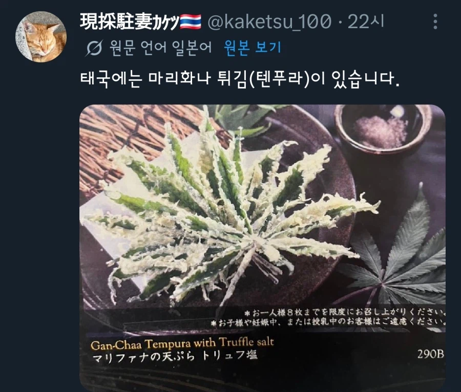 의외로 튀김으로 먹는거_1.webp