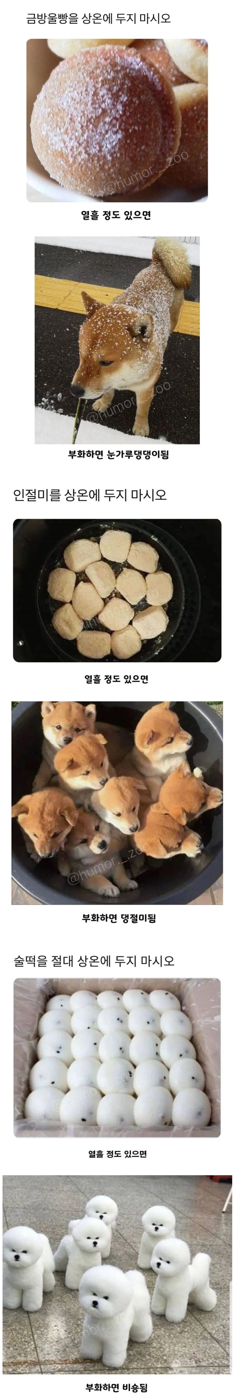 개판나는거 보기 싫으면 먹을걸 상온에 두지 마시오_1.webp