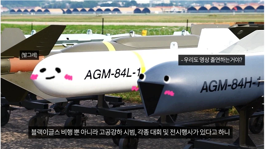 웃는 모습이 귀여운 미사일_1.webp