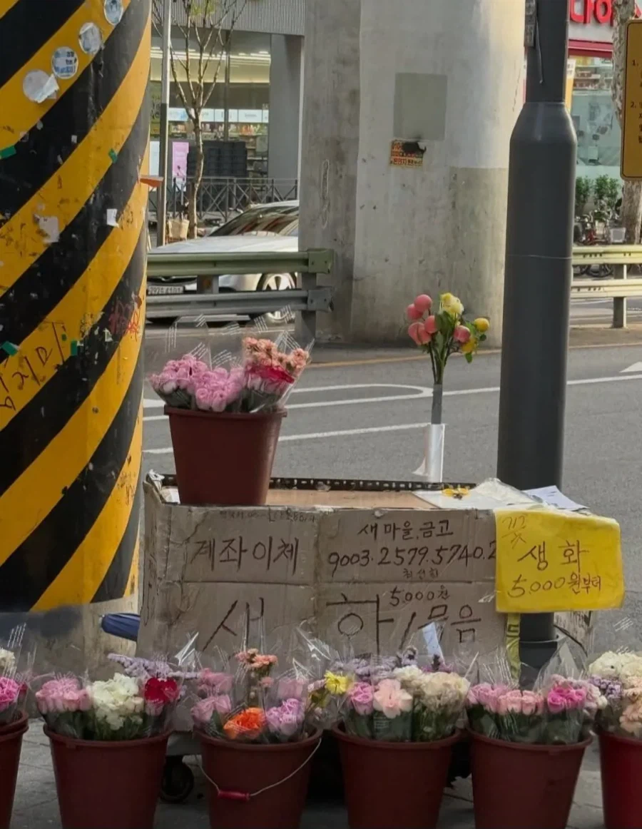 이런거 보면 한국 참 좋은거 같아_1.webp