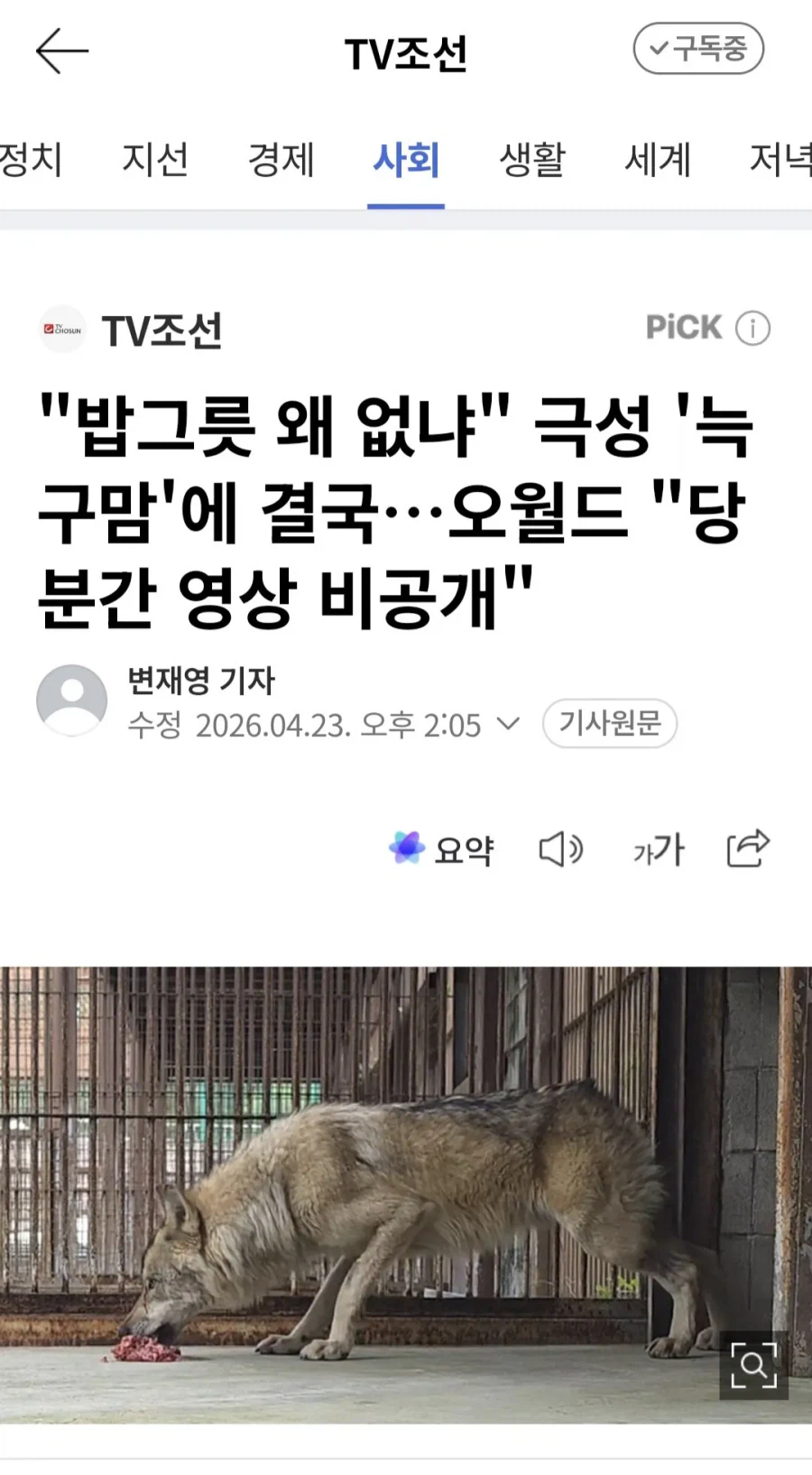 밥그릇 찾는 늑구맘 극성에 늑구 영상 당분간 중단_1.webp