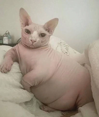 퇴근길에 알려주는 알아봐야 쓸데없는 과학상식_1.webp