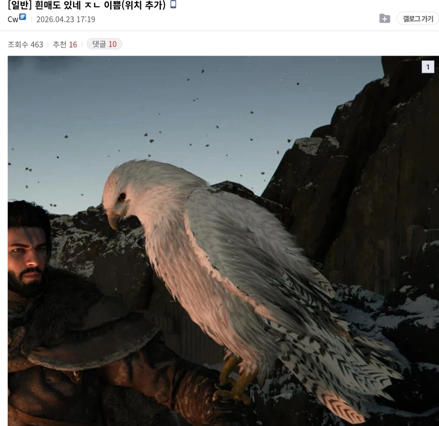 붉은사막) 흰매도 있네 ㅈㄹ 이쁨_1.webp