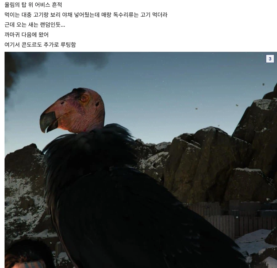 붉은사막) 흰매도 있네 ㅈㄹ 이쁨_3.webp