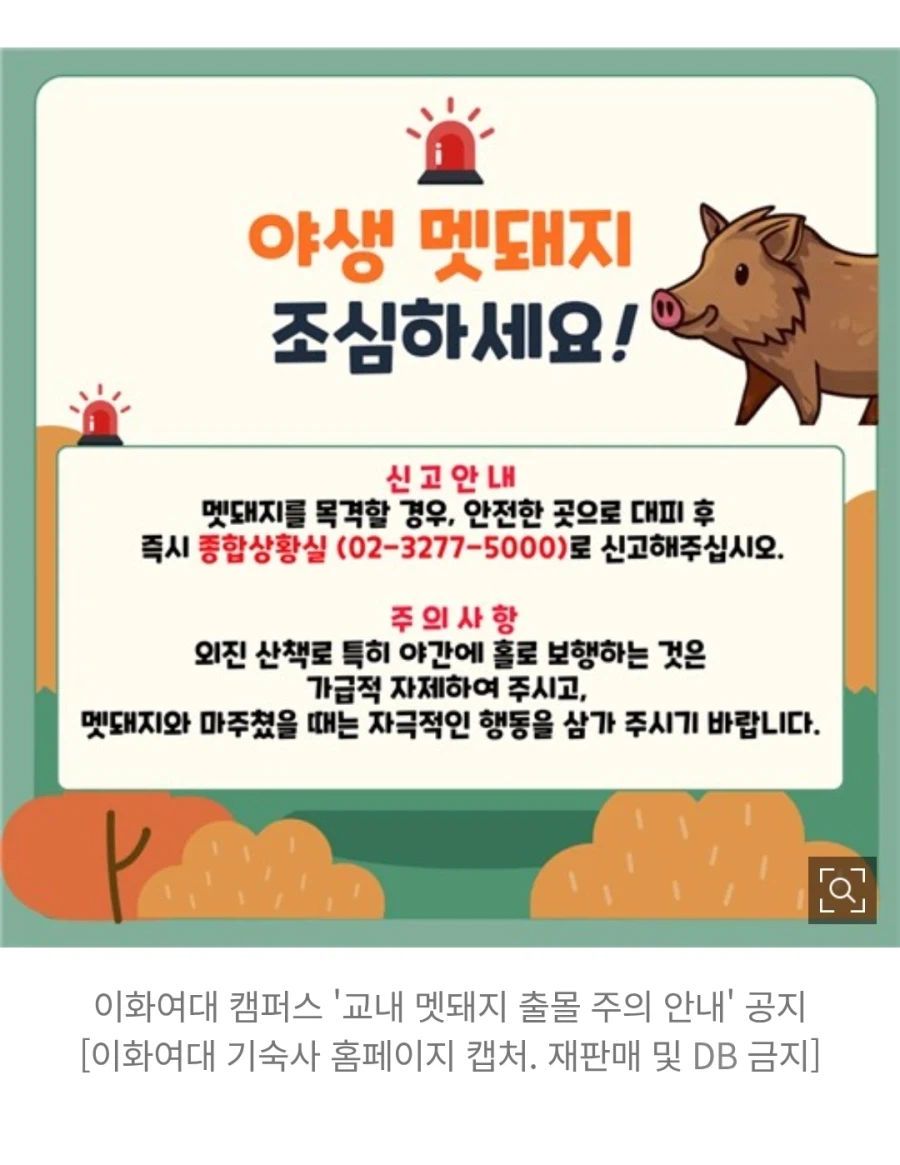 캠퍼스에 야생동물이 출몰했다고 신고 들어온 이화여대.jpg_2.webp