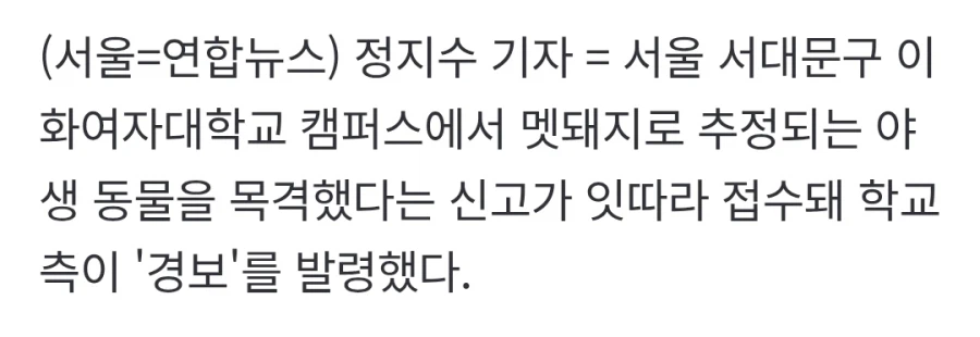 캠퍼스에 야생동물이 출몰했다고 신고 들어온 이화여대.jpg_3.webp