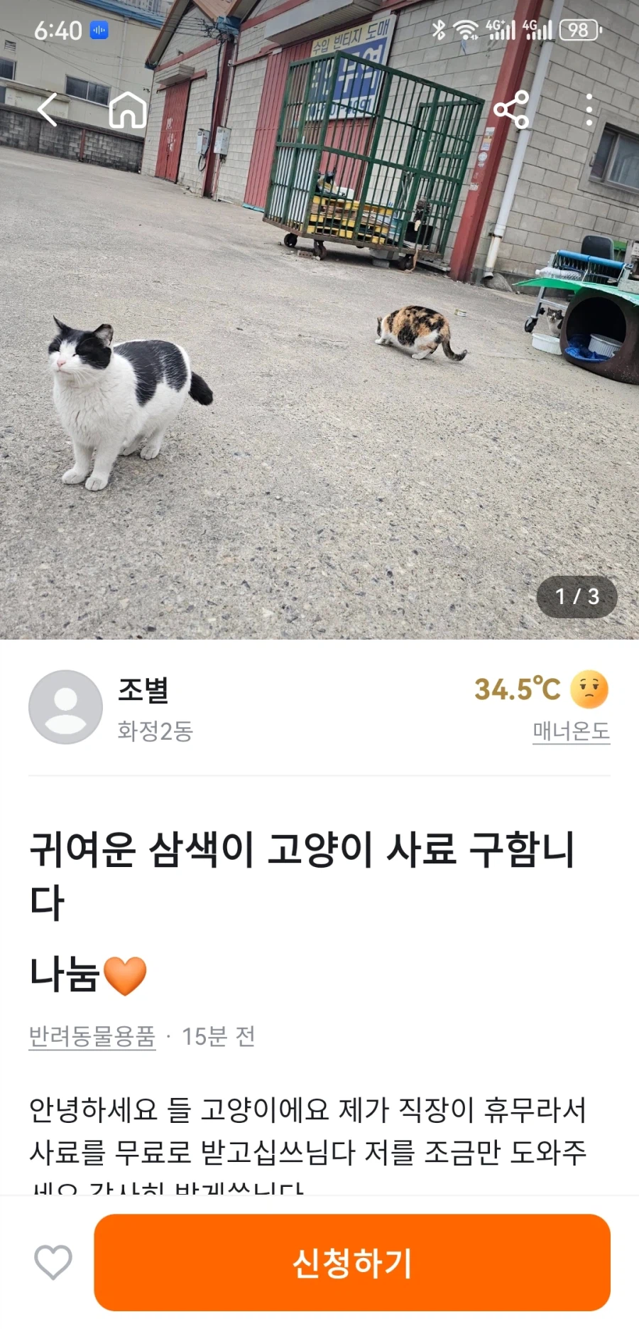 당근 캣맘_1.webp
