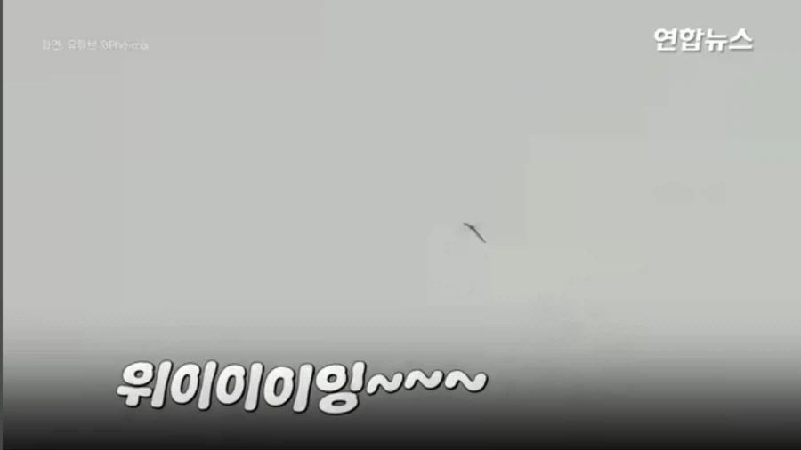 1초에 30마리, 모기 잡는 레이저 개발중이라는 중국 ㄷㄷㄷ;;_1.webp