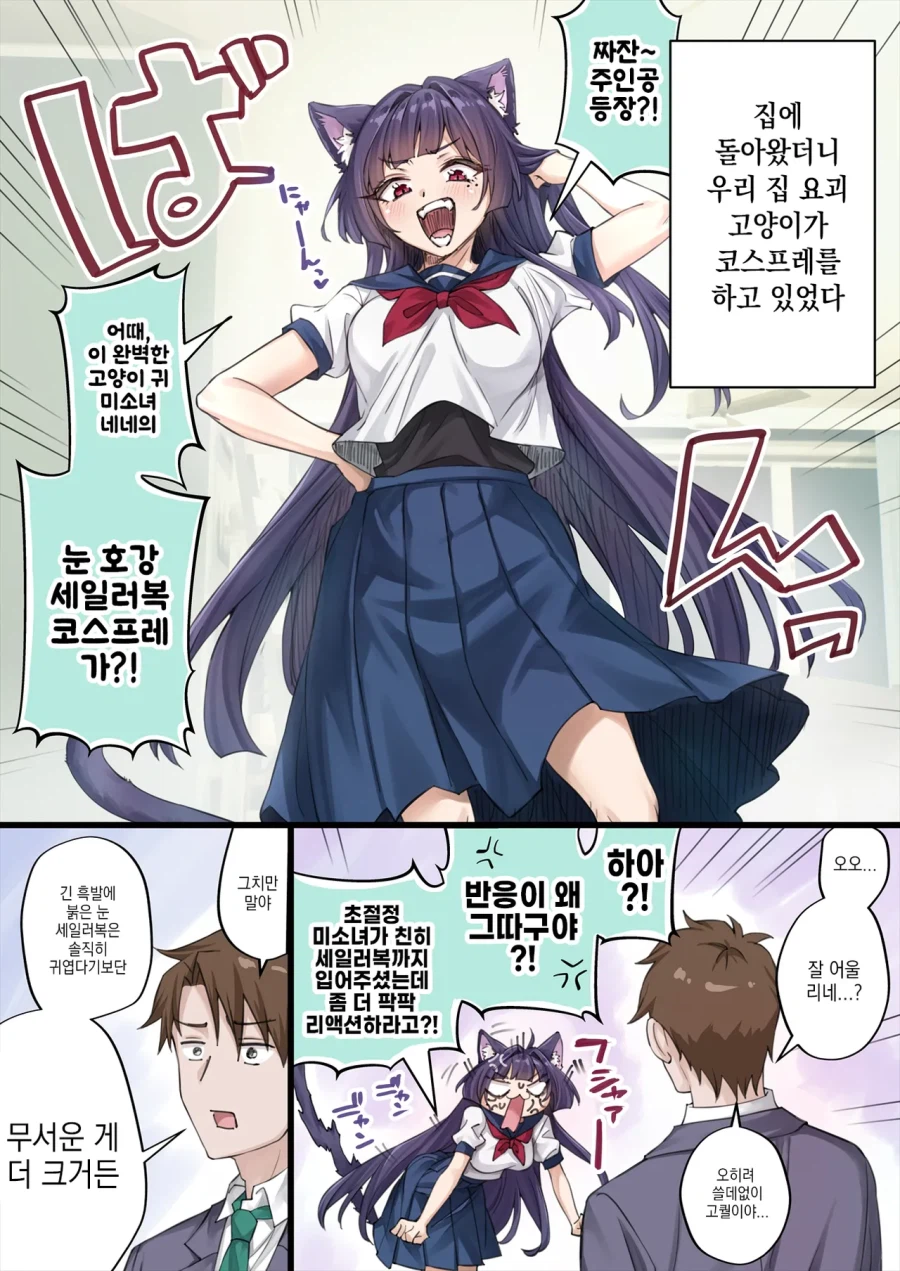 세일러복 코스프레한 고양이.JPG_1.webp