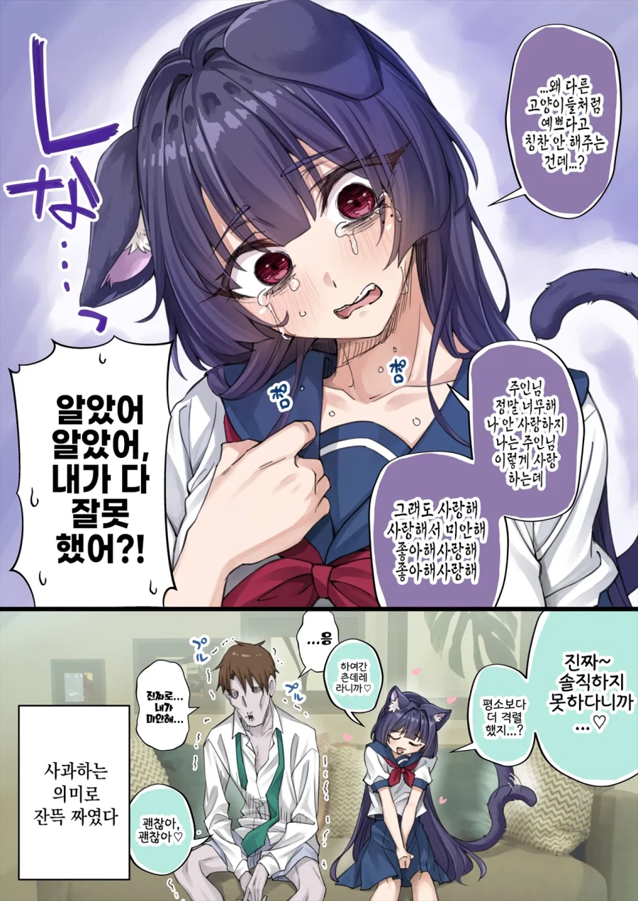 세일러복 코스프레한 고양이.JPG_2.webp