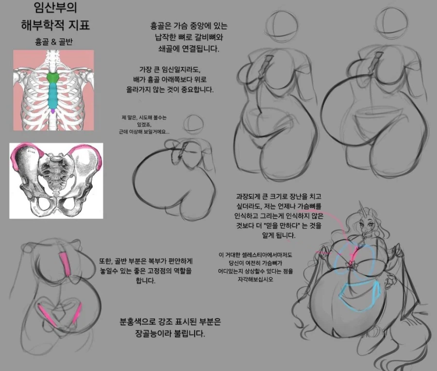 임신한 배 그리는 방법_4.webp