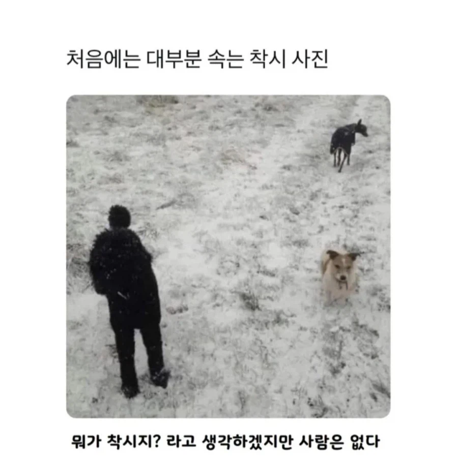 처음엔 대부분 속는다는 사진_1.webp