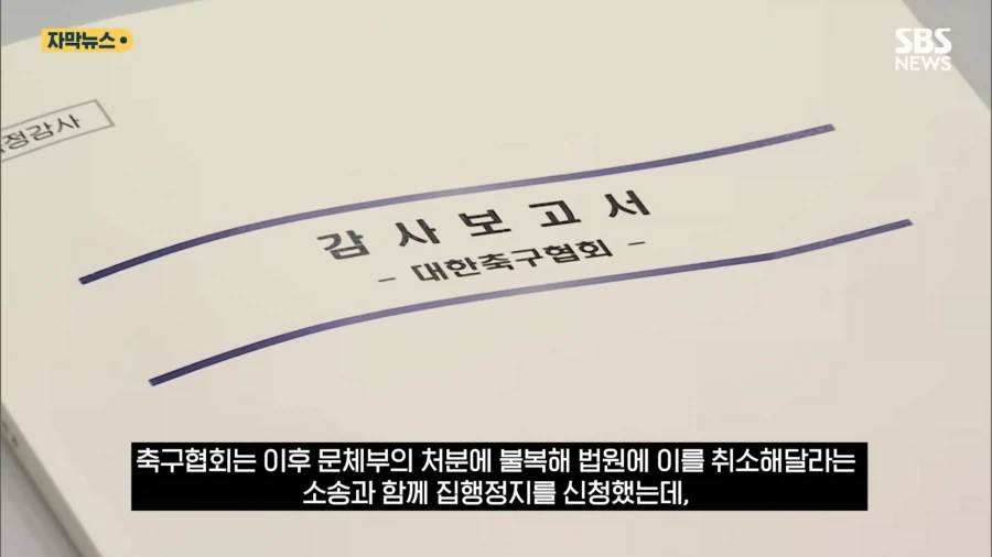 정몽규 : 삐에에엑! 문체부가 나 괴롭혀요!! 판사님!!!_6.webp