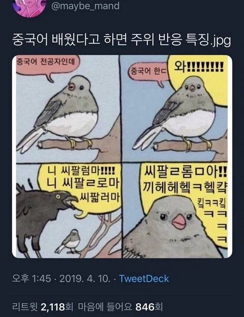 중국어 전공자들의 숙명.jpg_1.webp