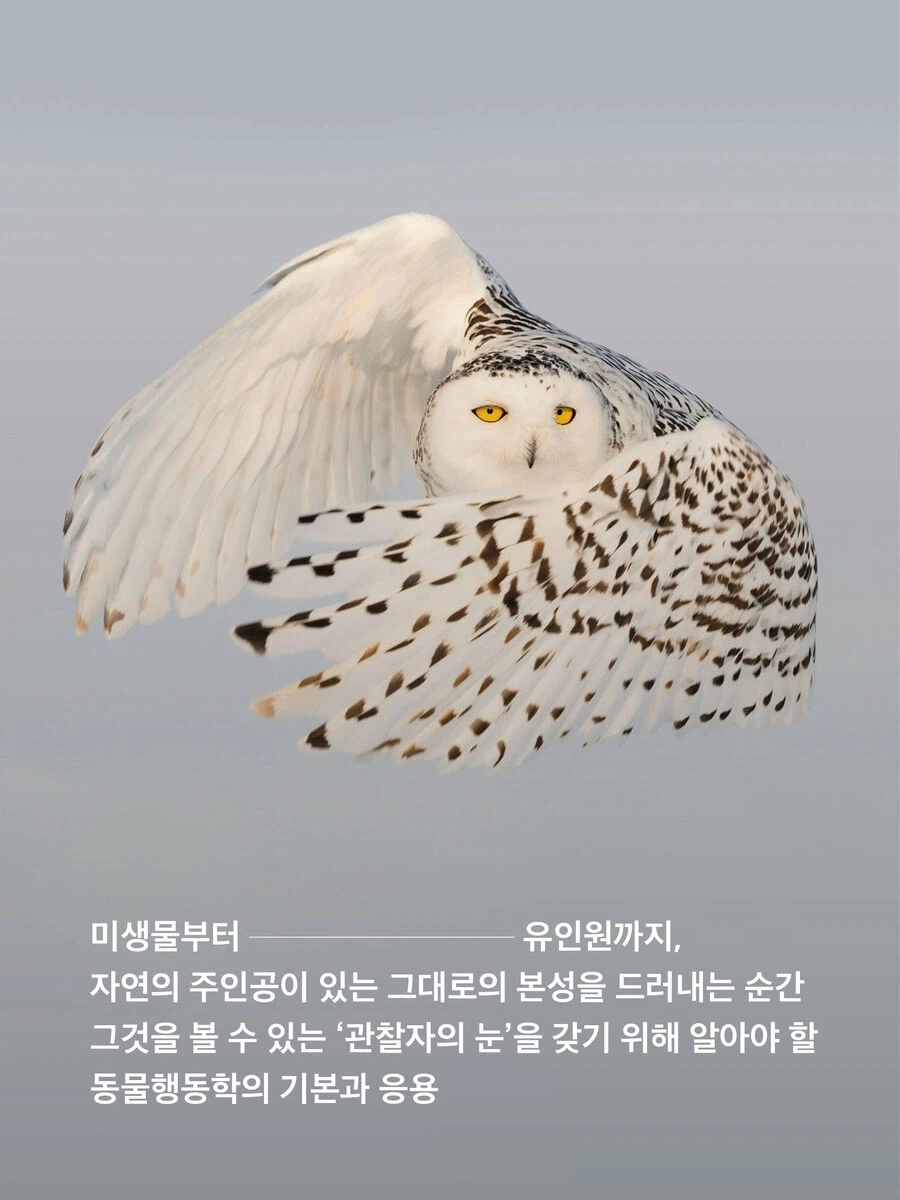 마치 블리치 만해 같은 어느 책의 카드리뷰_1.webp