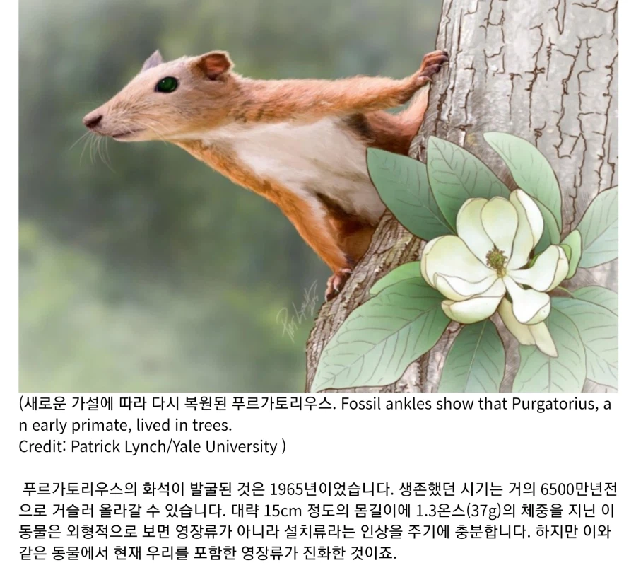 1억년전의 인류.jpg_3.webp