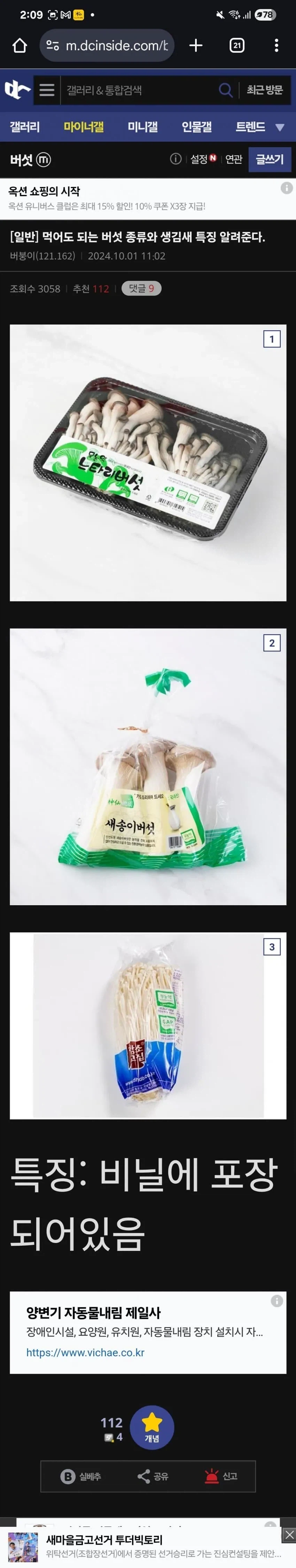 버섯갤에서 알려주는 식용 버섯_1.webp