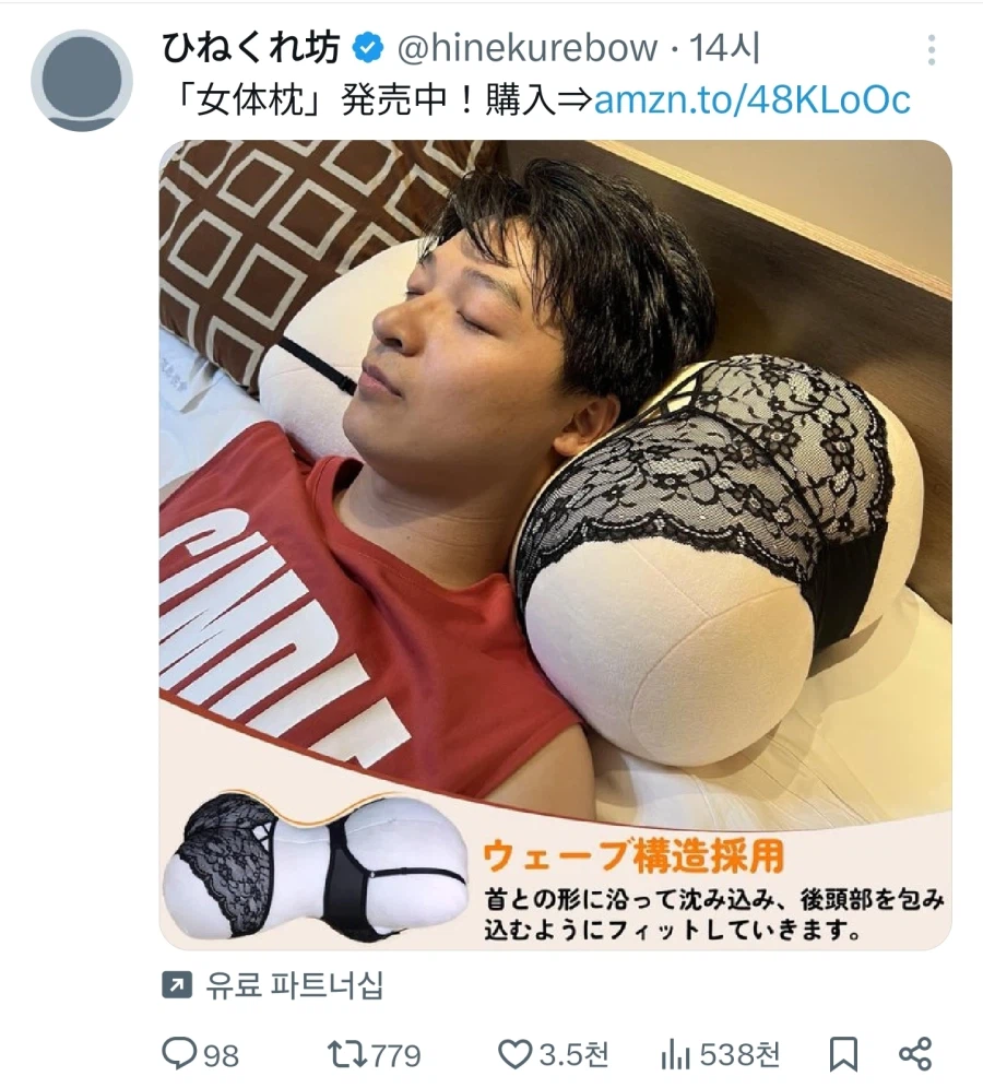일본의 흔하지 않는 배게 광고.jpg_1.webp