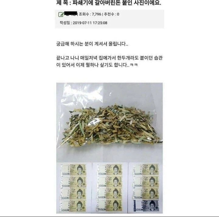 파쇄기에 실수로 55만원을 갈아버렸던 사람.jpg_3.webp