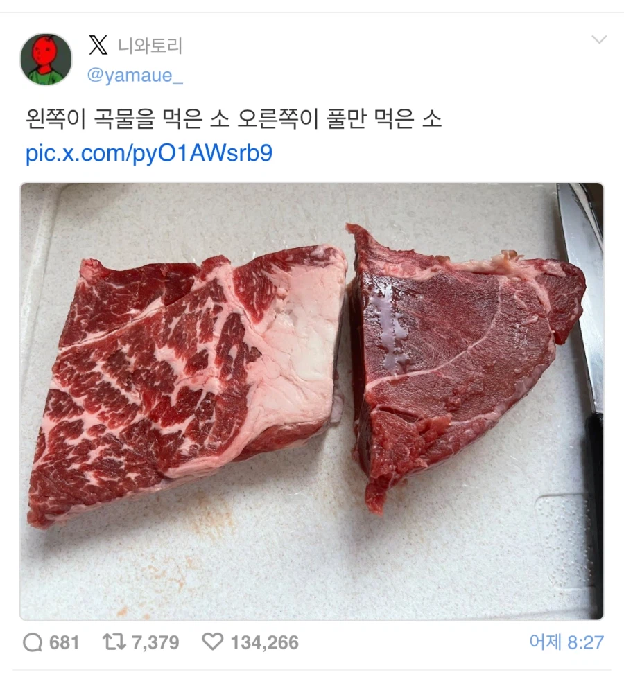 소고기 비교해보고 알려줌 ㅇㅇ_1.webp