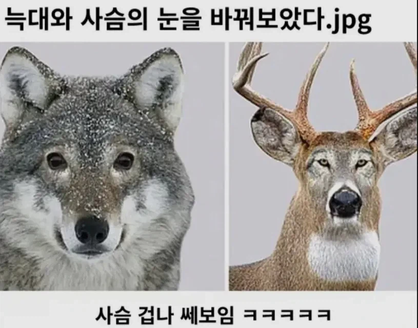 눈이 중요한이유_1.webp
