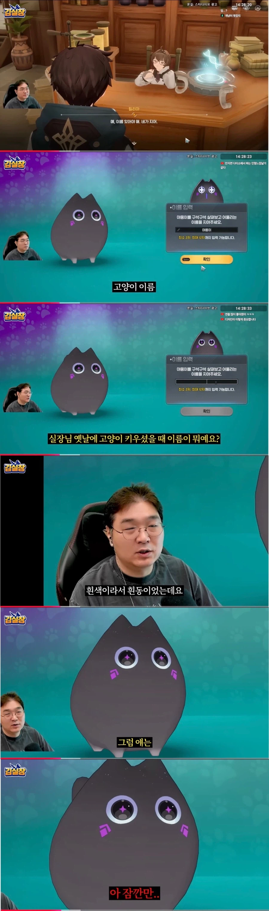 김실장) 고양이 이름짓다가 나락갈뻔한 PD_1.webp