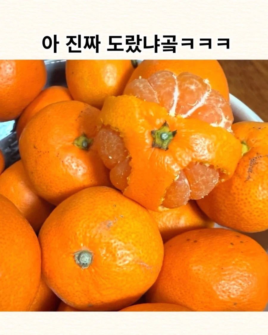 우리 아빠 귤 까 놓은 것 좀 보셈.jpg_1.webp