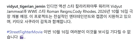 스트리트 파이터 실사화 영화..._2.webp