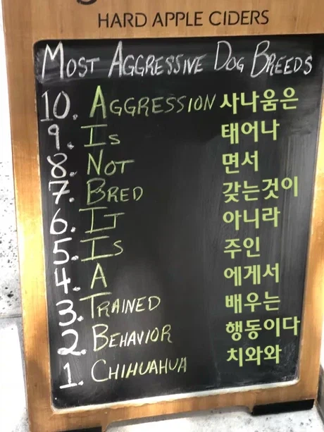 단지 귀엽다는 이유만으로 인간에게 위협적임에도 사랑받는 동물_1.webp