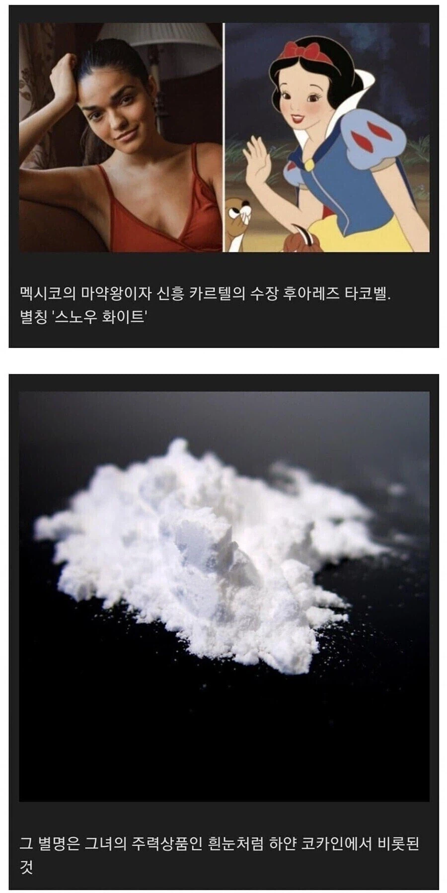 백설공주를 실사화 한다면_1.webp