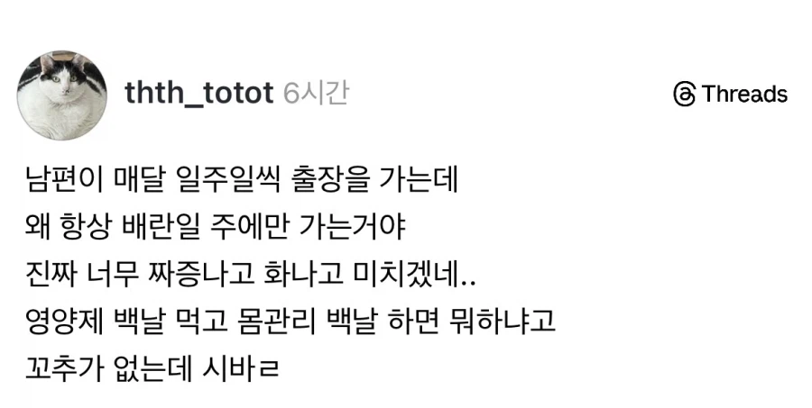 남편 출장 기간이 짜증나는 이유.jpg_1.webp