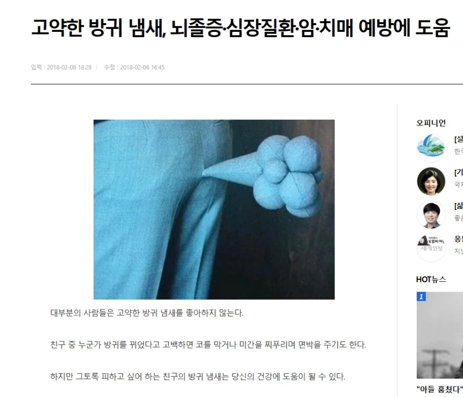 방귀 냄새가 뇌졸증, 심장질환, 암, 치매 예방에 도움_1.webp