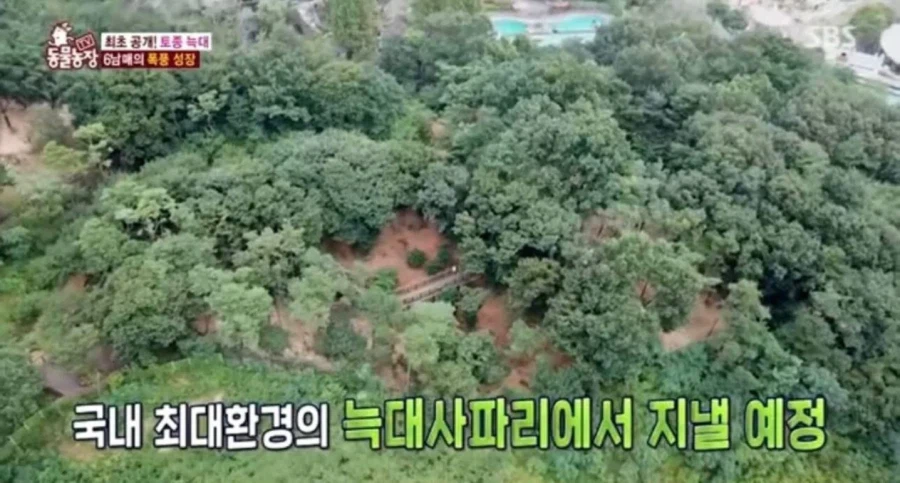 늑구가 살던곳_1.webp
