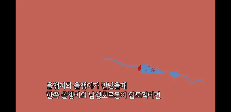 오토코노코가 임신 가능한 이유_1.webp