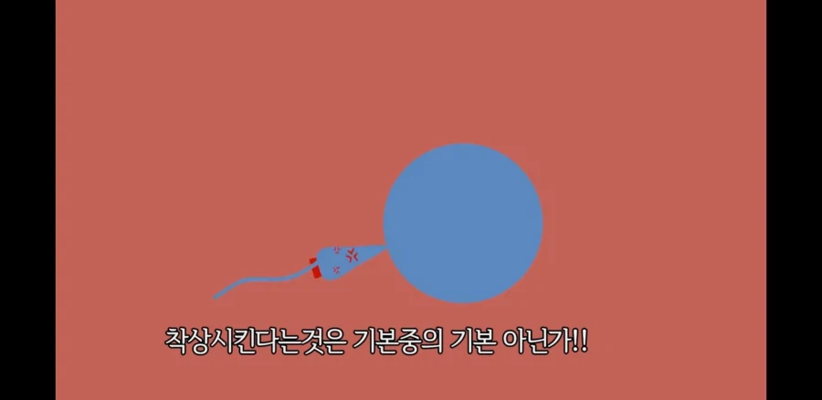 오토코노코가 임신 가능한 이유_3.webp