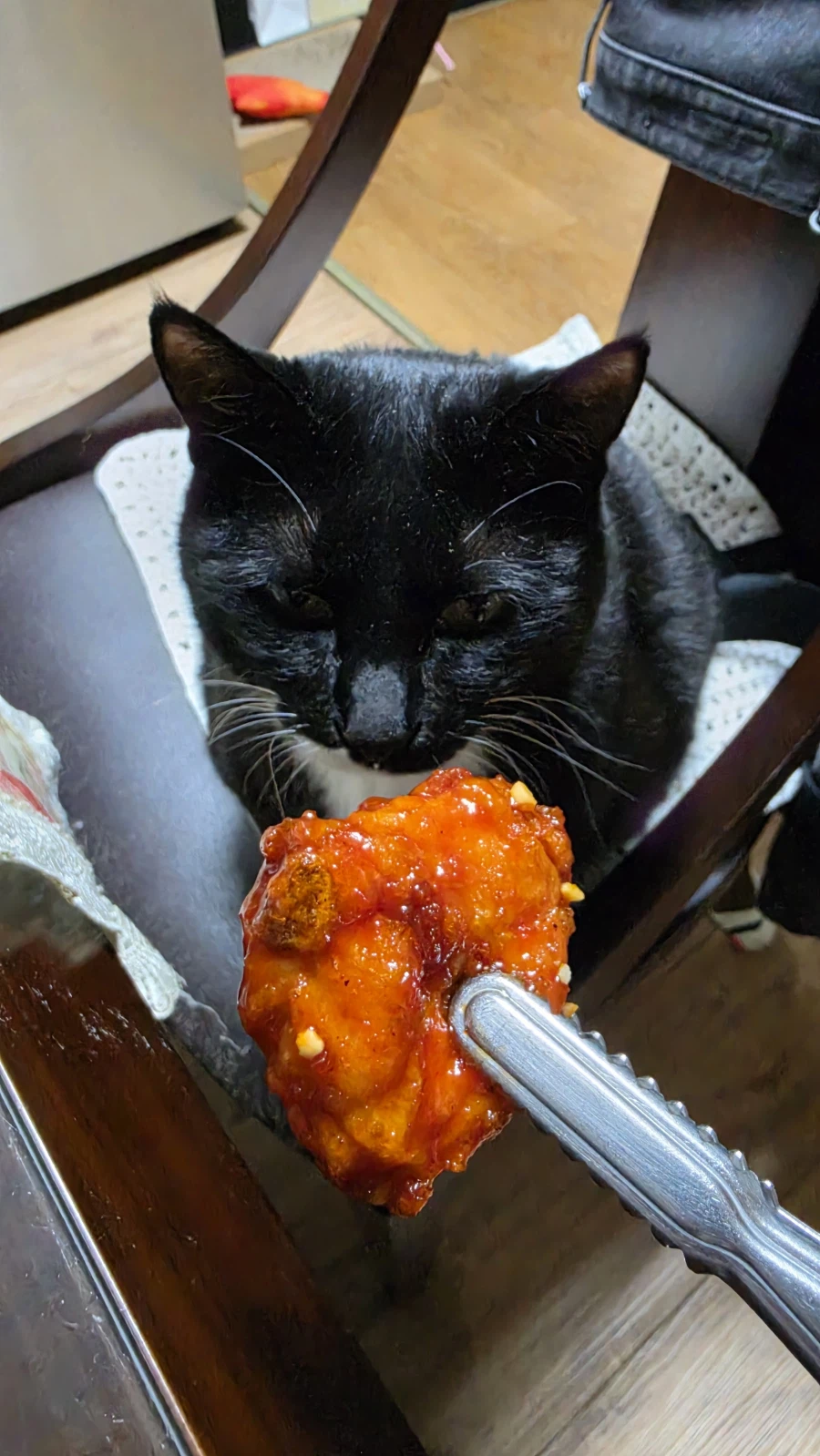 퇴근후 야옹이랑 소소하게 한잔함ㅎㅎ_3.webp