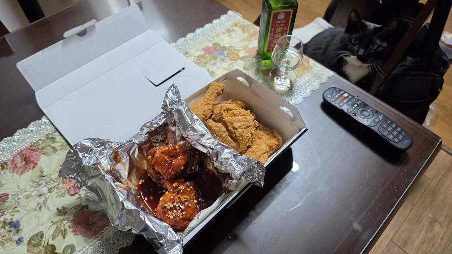퇴근후 야옹이랑 소소하게 한잔함ㅎㅎ_7.webp
