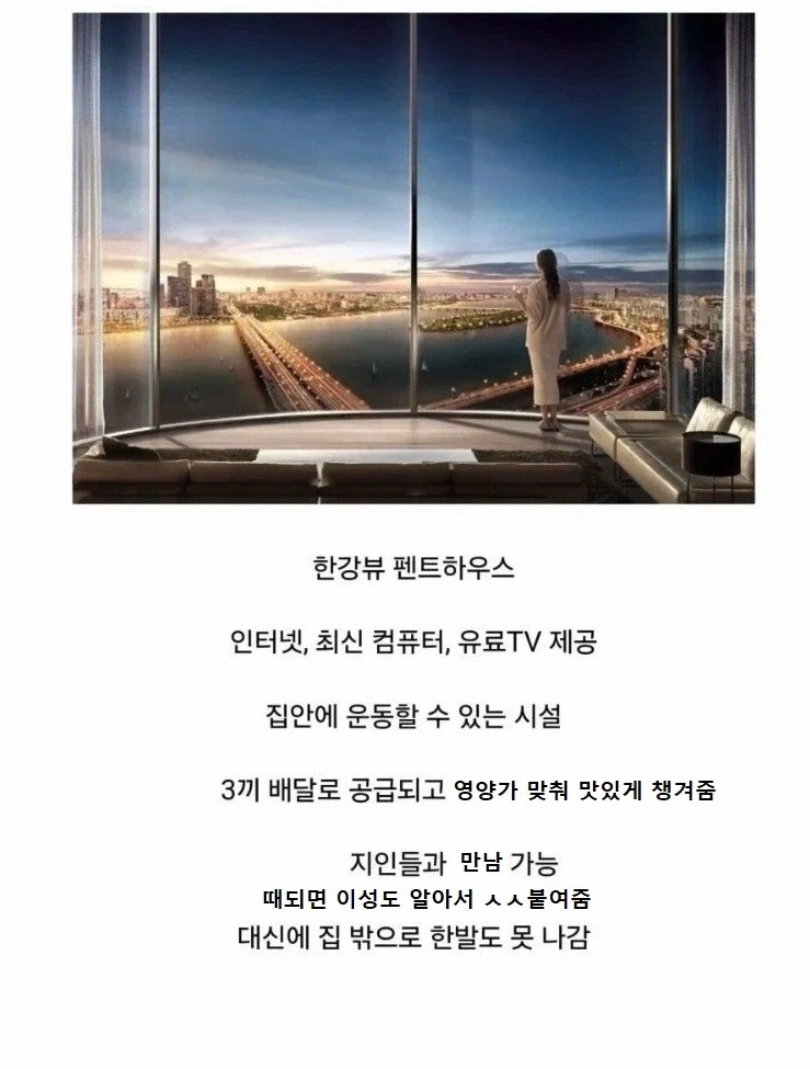 늑구 동화가 나온다니 살펴보는 늑구 상황 요약.._1.webp
