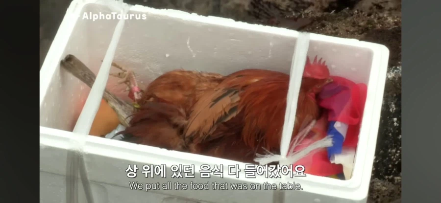 해녀의 죽음_25.webp