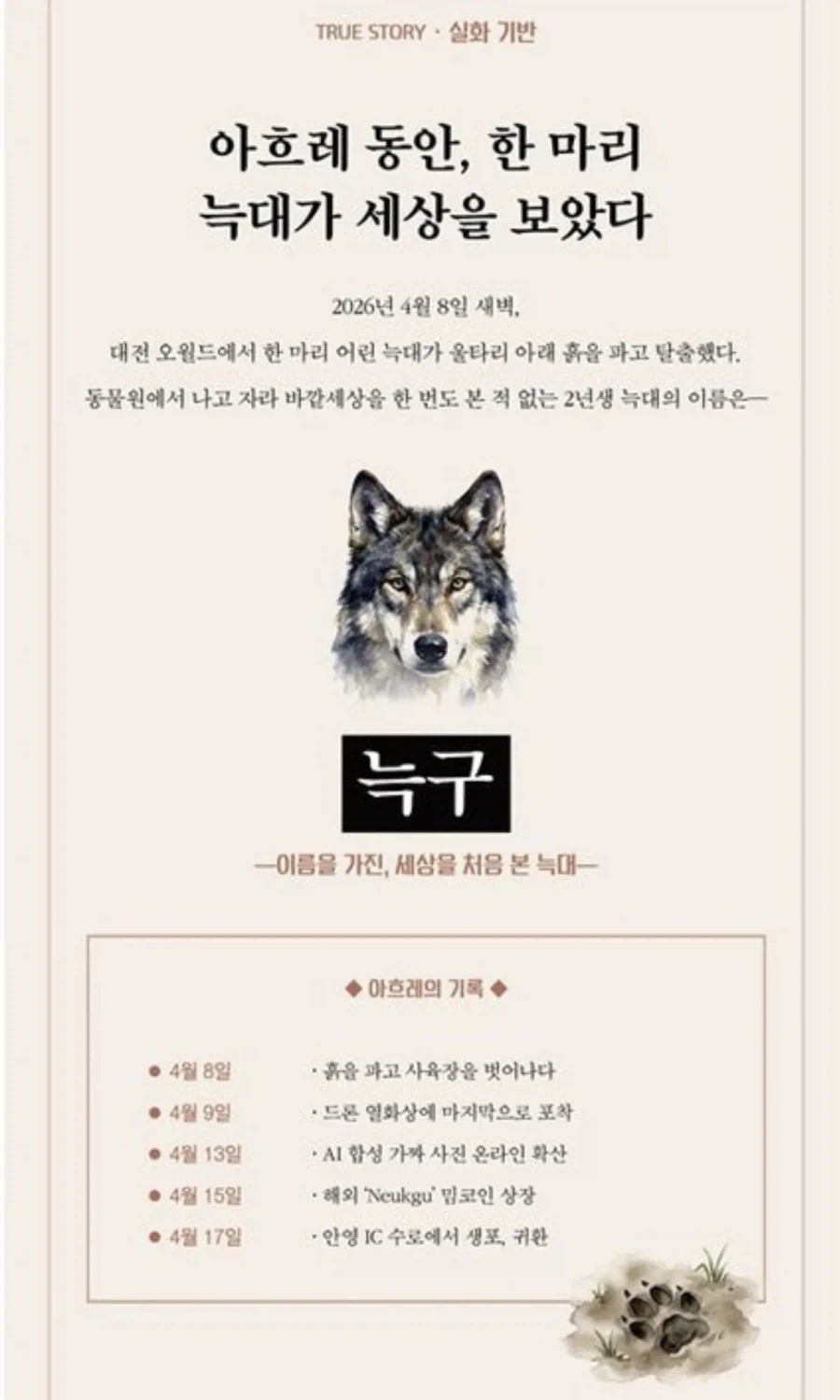 늑구가 동물원돌아오니 장사치들이 벌이는 짓_1.webp