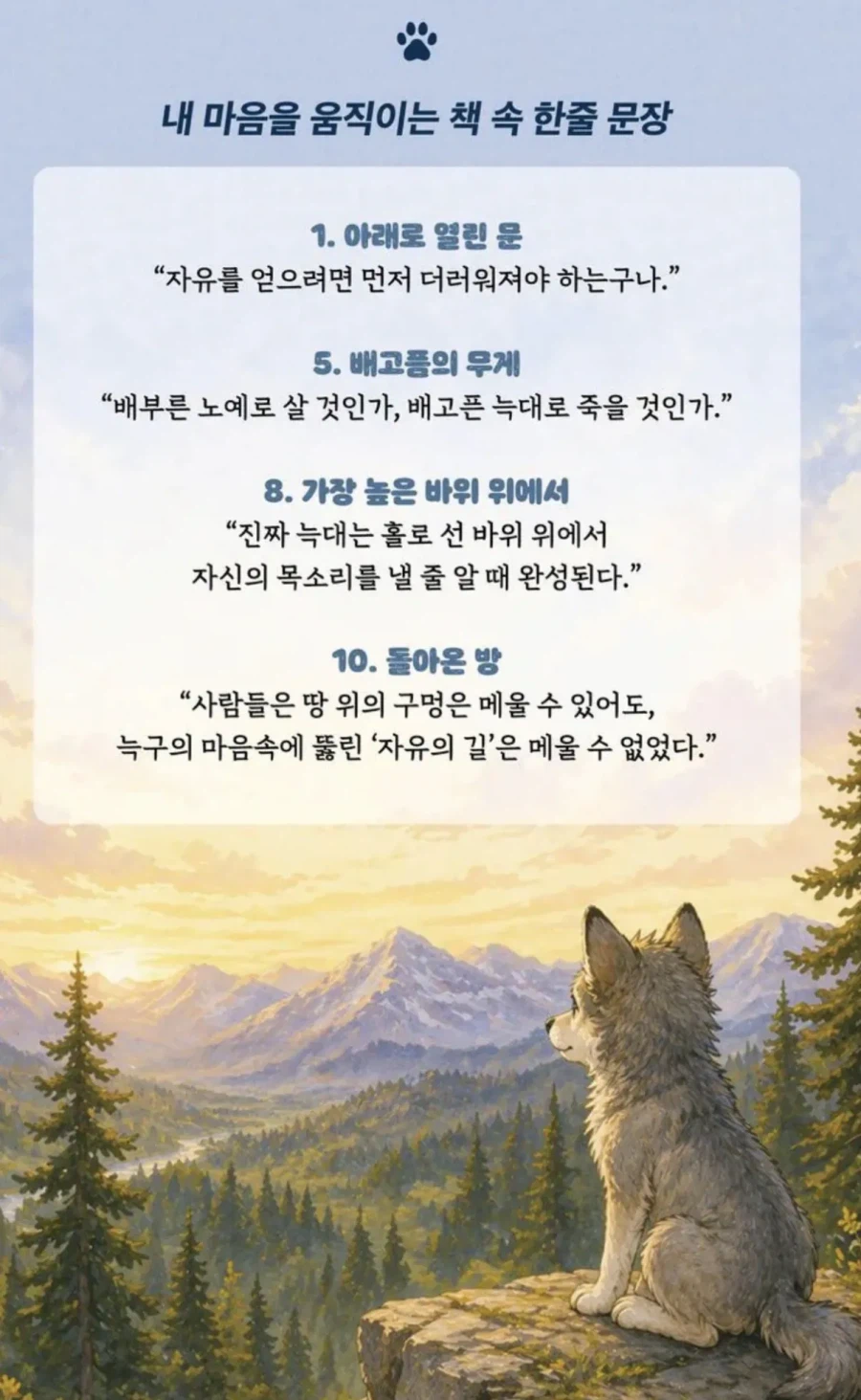 늑구가 동물원돌아오니 장사치들이 벌이는 짓_2.webp