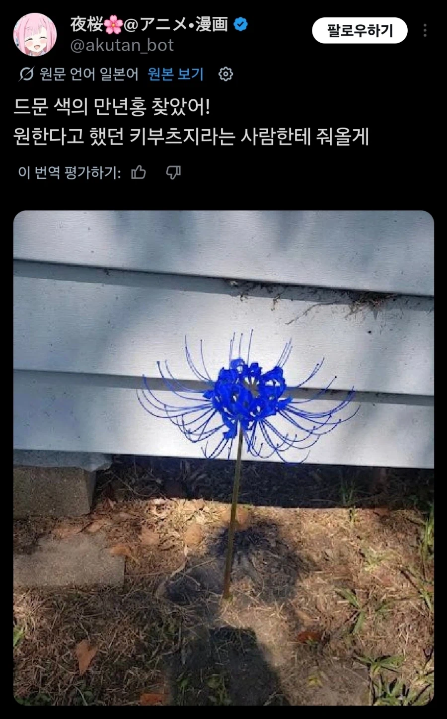 무잔 허접한 새끼 ㅋㅋ_1.webp